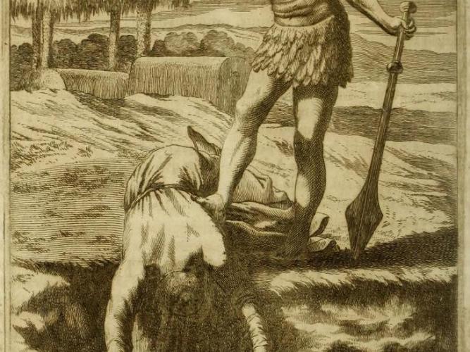 petrus martinus